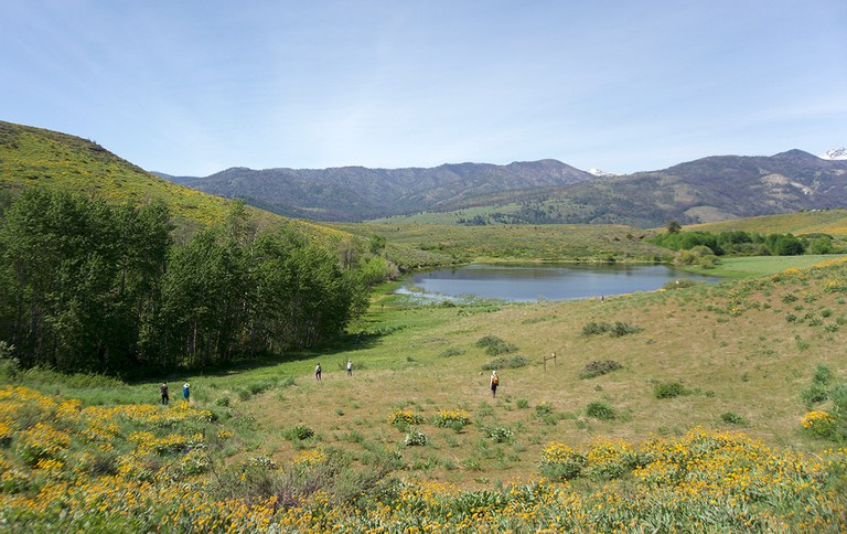 2025AdFam_SnakeCount_inset4.jpg 2025AdFam_SnakeCount_inset4.jpg