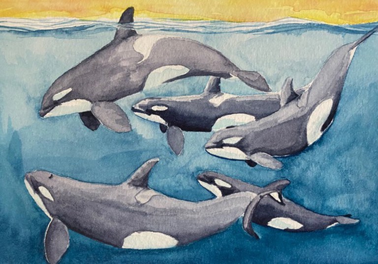 2026AdFam_DrawingOrcas_inset1.jpg 2026AdFam_DrawingOrcas_inset1.jpg
