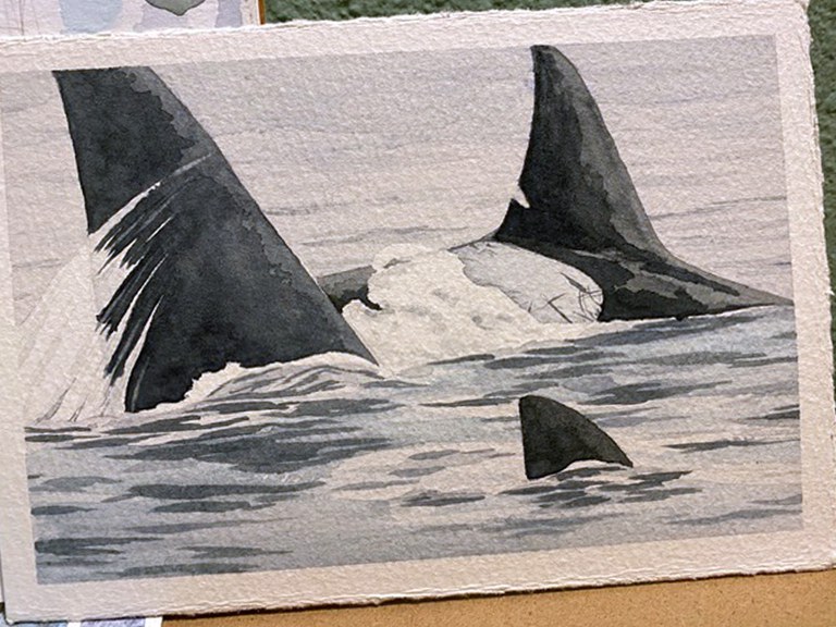 2026AdFam_DrawingOrcas_inset3.jpg 2026AdFam_DrawingOrcas_inset3.jpg