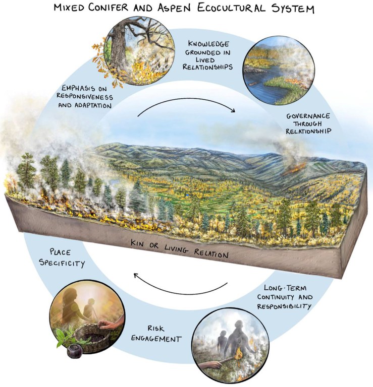 2026Adfam_FireEcology.jpg 2026Adfam_FireEcology.jpg