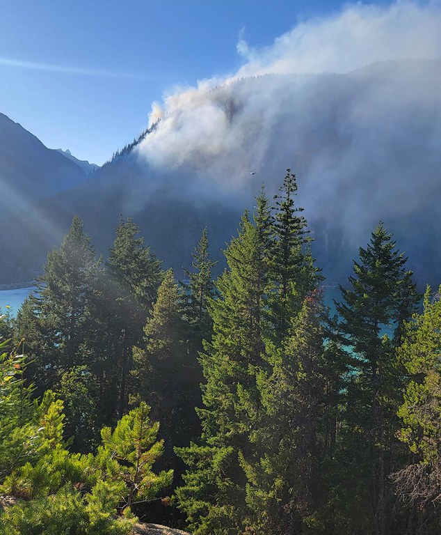 2026Adfam_FireEcology2.jpg 2026Adfam_FireEcology2.jpg