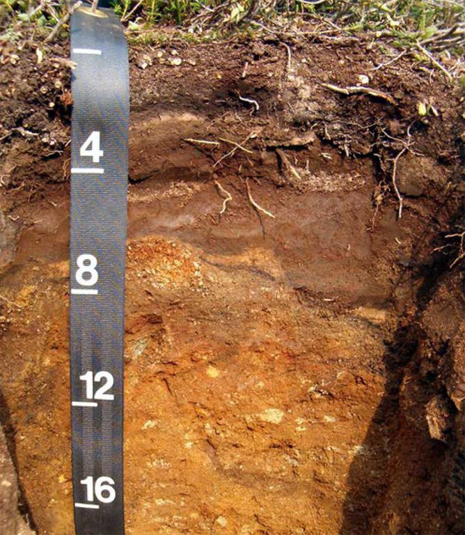 2026adfam_SoilScience_inset1.jpg 2026adfam_SoilScience_inset1.jpg