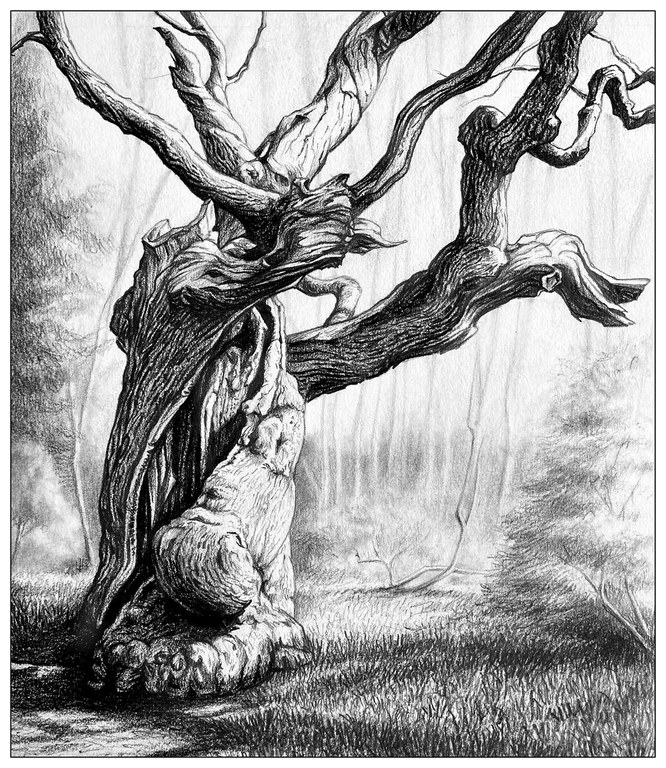 2027_DrawingWinterTrees_Inset1.jpg