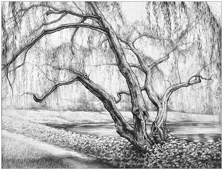 2027_DrawingWinterTrees_Inset3.jpg