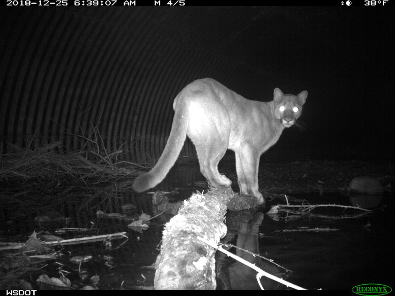 2027_RoadEcology_inset1.jpg 2027_RoadEcology_inset1.jpg