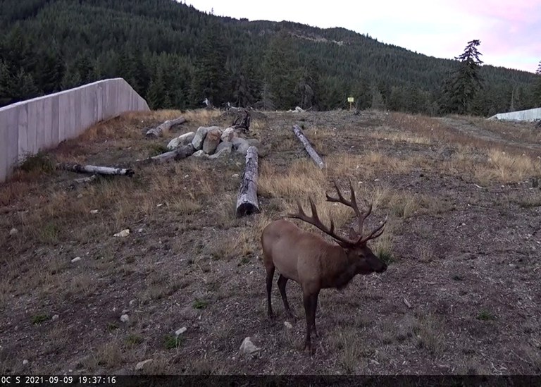 2027_RoadEcology_inset2.jpg 2027_RoadEcology_inset2.jpg