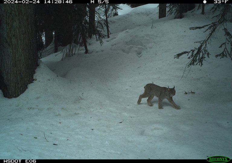 2027_RoadEcology_inset3.jpg 2027_RoadEcology_inset3.jpg