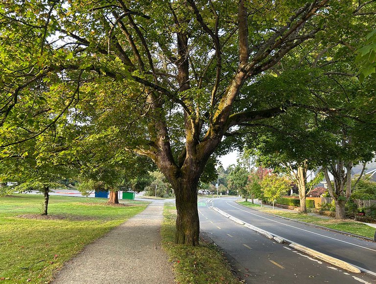 2027_SeattleBotanicalPast_inset3.jpg