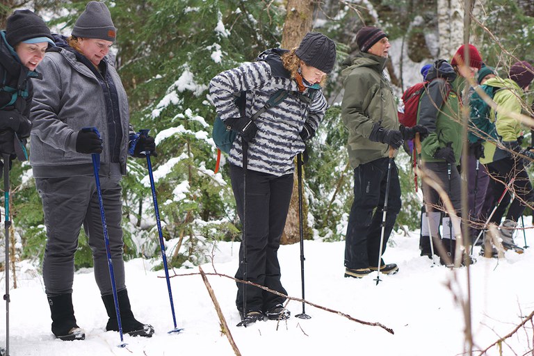 2027_WinterForestSnowshoe_inset1.jpg 2027_WinterForestSnowshoe_inset1.jpg