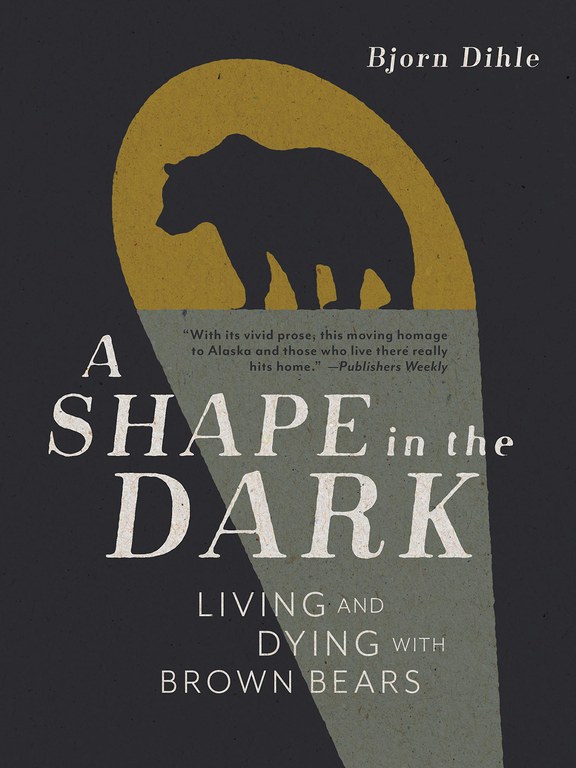 AShapeInTheDark.jpg