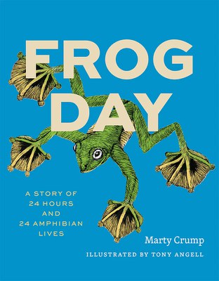 NoW24_FrogDay.jpg NoW24_FrogDay.jpg