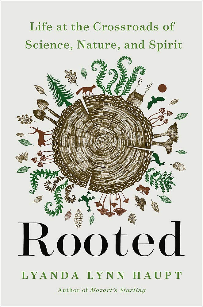 Rooted.jpg