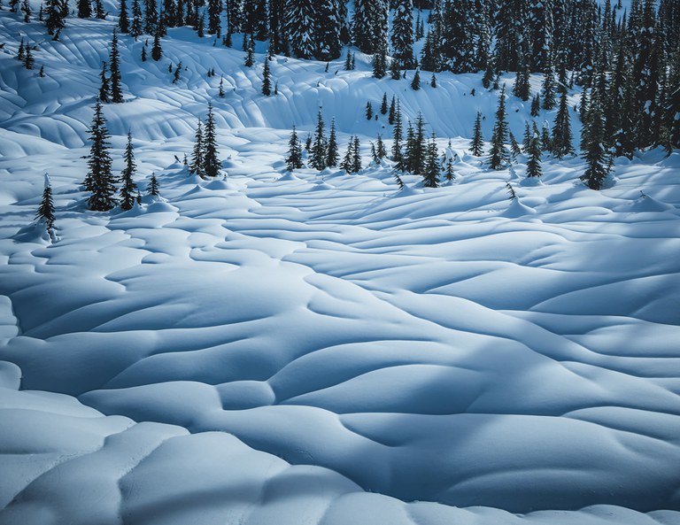 Scott_Kranz_Image1-(for-Promoting-12_2_20-Course).jpg