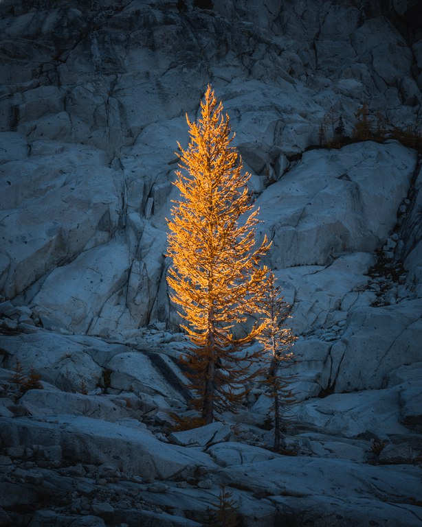 Scott_Kranz_Image3 (for Promoting 12_2_20 Course).jpg