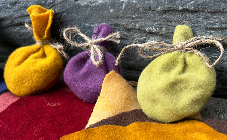 Natural Dyes Workshop in the Chuckanuts