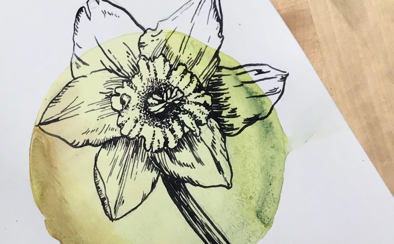 Natural Ink Lab: From Plants to Pigments