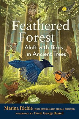 feathered forest.jpg