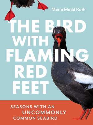 the bird with the flaming red feet.jpg