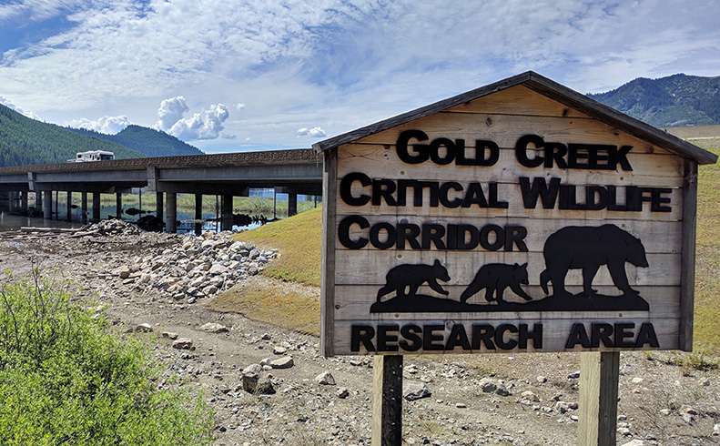 Wildlife on the Move: Habitat Connectivity and Washington’s Highways - Online