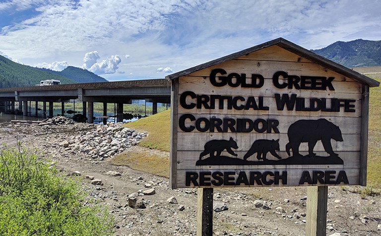 Wildlife on the Move: Habitat Connectivity and Washington’s Highways - Online