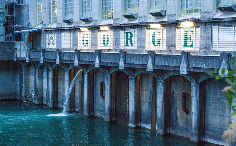 Skagit Tours Dam Good Chicken Dinner and Ladder Creek Falls by Night