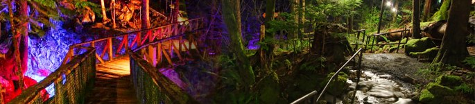 Newhalem At Night Light Show