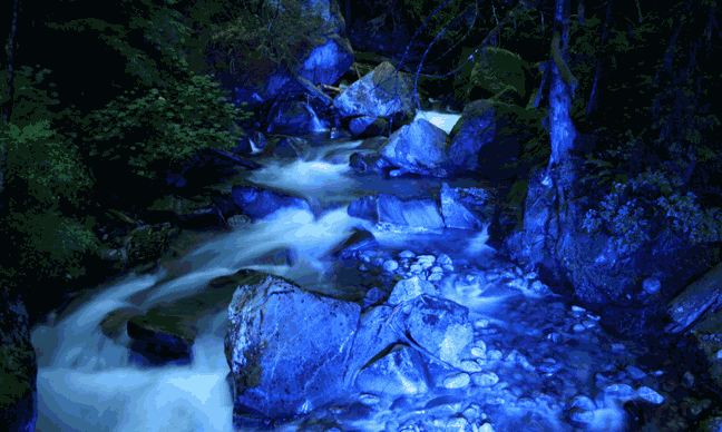 Newhalem At Night Light Show