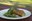 SCL - chicken dinner 4.jpg