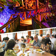 Newhalem At Night Light Show