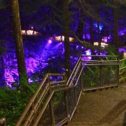 Newhalem At Night Light Show