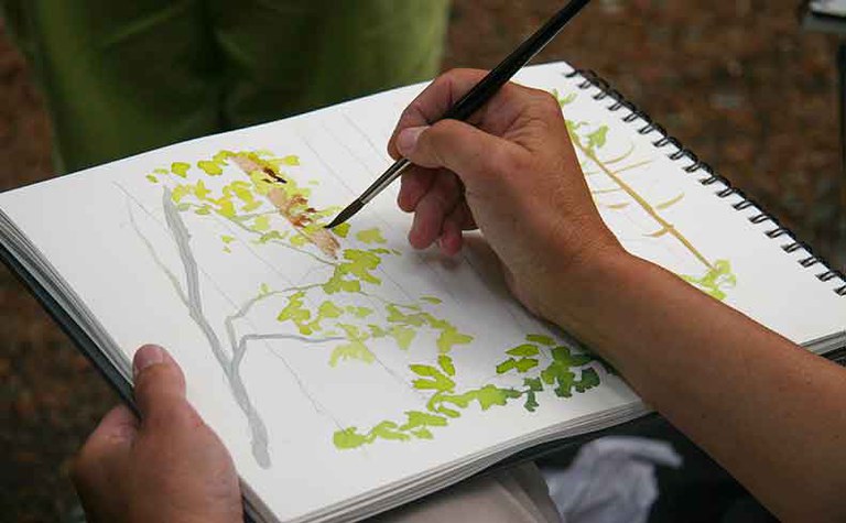 Springtime Watercolor in the North Cascades Seminar