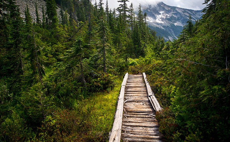 Building the PNT: From Vision to National Scenic Trail - Online