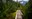 Building the PNW Trail: From Vision to National Scenic Trail - Online