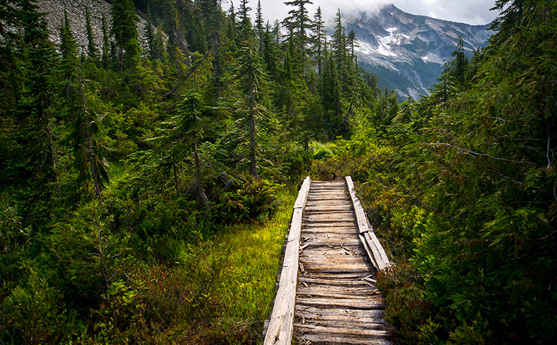 Building the PNW Trail: From Vision to National Scenic Trail - Online