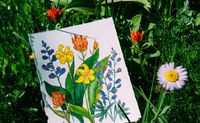 Watercolor Wildflowers - Online