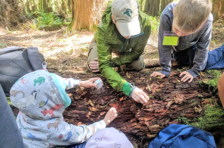 2018-NCI-ForestSchool-01.jpg