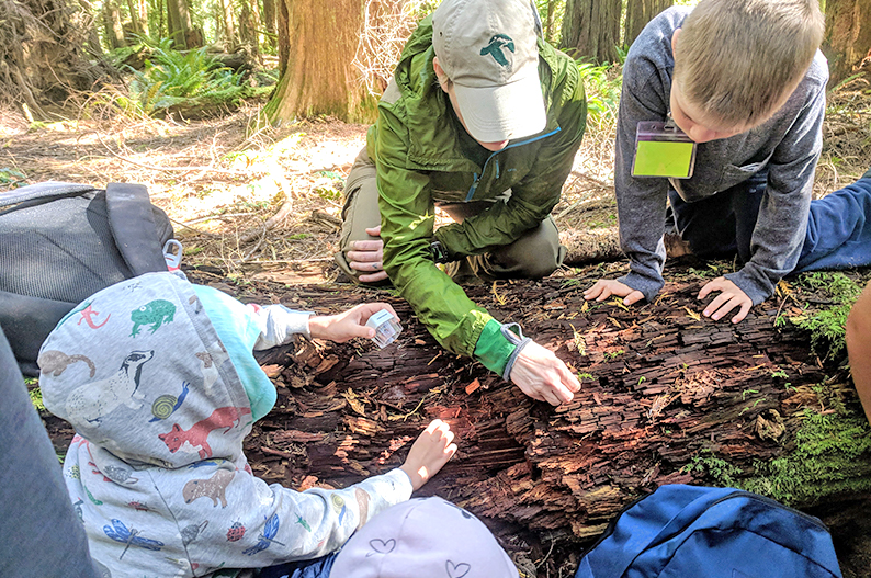 2018-NCI-ForestSchool-01.jpg