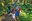 2018-NCI-ForestSchool-09.jpg