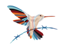 HUMMINGBIRD trans.png