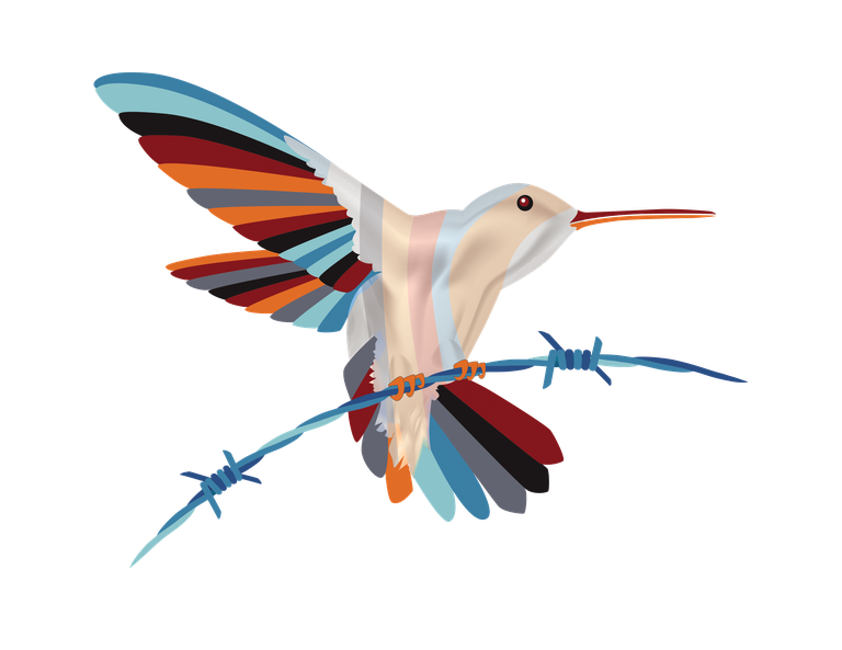 HUMMINGBIRD trans.png