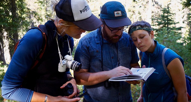 Graduate M.Ed. Residency Financial Aid and Scholarships