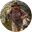 NCI-Adam.png