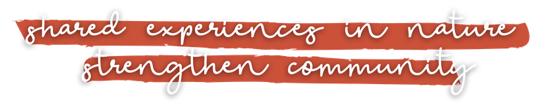 shared experiences.png