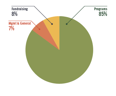 2016 Annual Report Expenses Chart