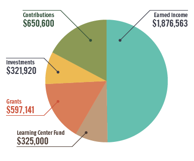 2016 Annual Report Revenue Chart