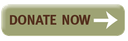 Donate Now Button